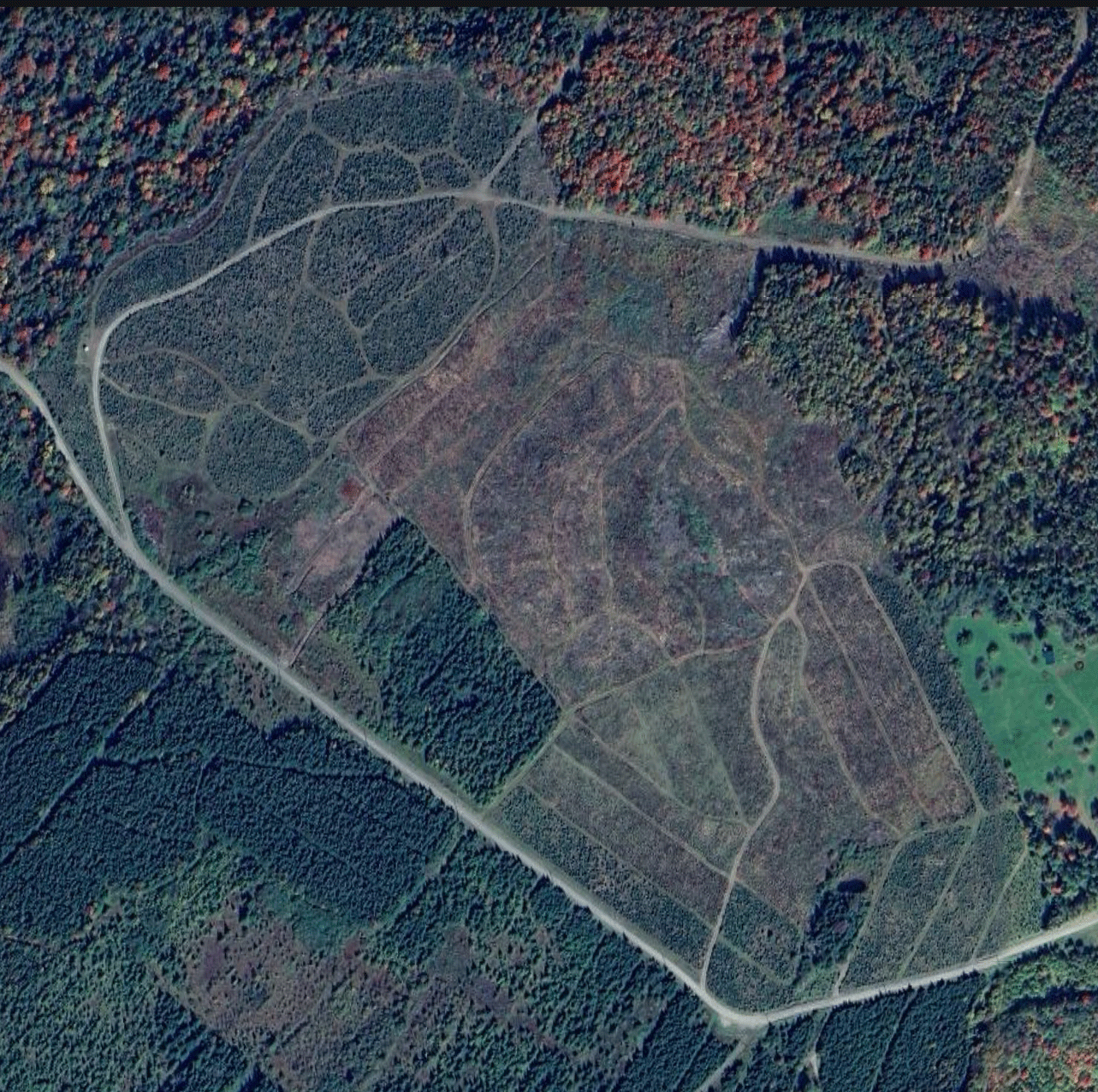 This satellite image, courtesy of Google Earth, shows a large portion of Uncle Steve's northern New England Christmas tree farm located just south of the Quebec, Canada border.