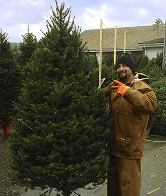 We sell quality wholesale Christmas trees in bulk and beautiful Christmas trees of all sizes at our New Hampshire Christmas tree lot.